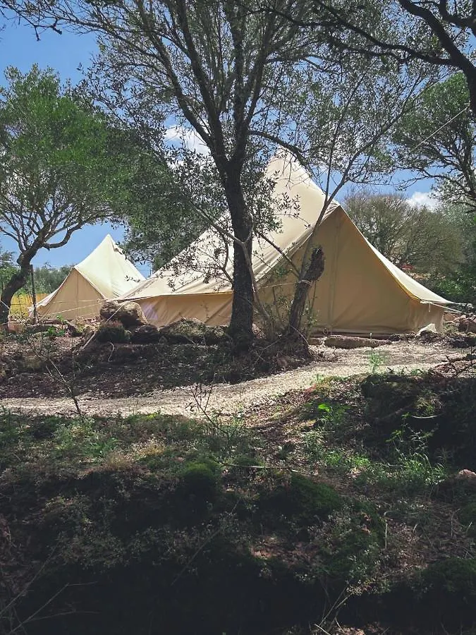 Hotel Pasare Glamping_Anglonaruralexperience à Perfugas Italie